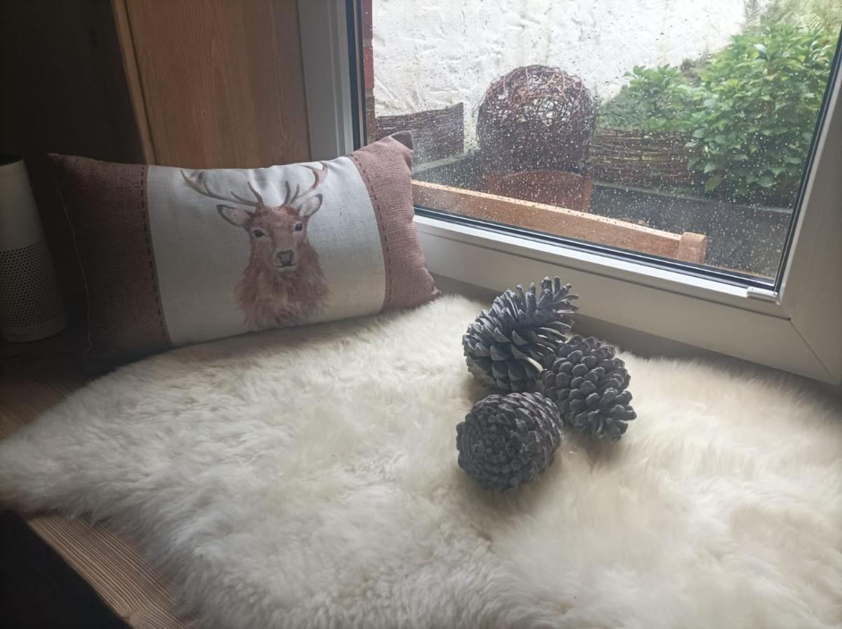 Harzglanz Fewo'S Kuschelbude Braunlage Buitenkant foto